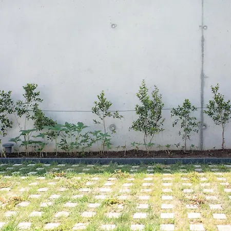 Apartment T0 Do Carril, Aveiro